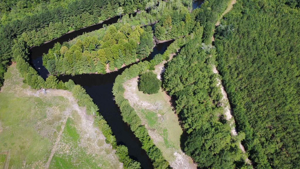 TBD Hardwick Rd., Nichols, SC 29581 — photo 3