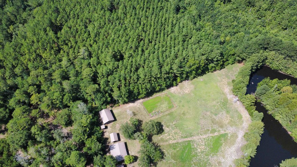 TBD Hardwick Rd., Nichols, SC 29581 — photo 4