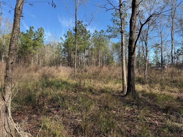 642 County Road 2112, Liberty, TX 77575