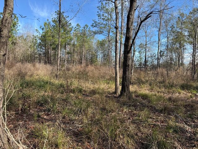 642 County Road 2112, Liberty, TX 77575