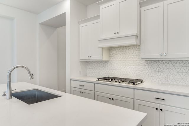 335 Alpine Lakes, New Braunfels, TX 78130