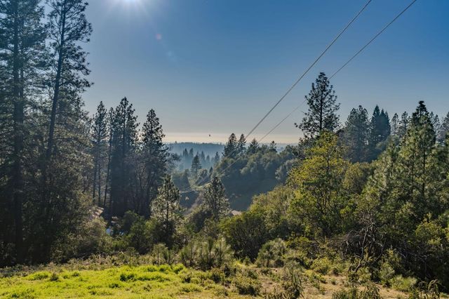 17630 Ridge Rd, Pine Grove, CA 95665