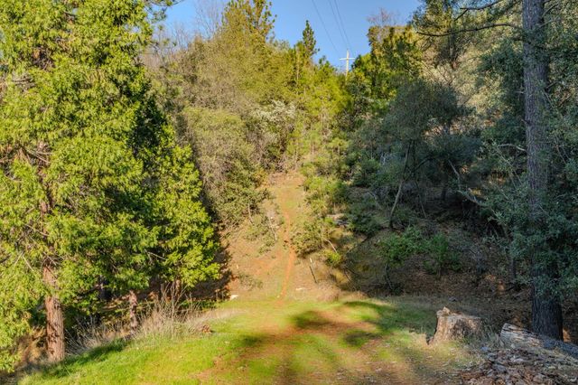 17630 Ridge Rd, Pine Grove, CA 95665