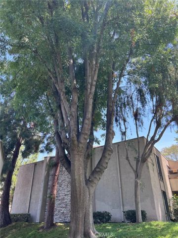3054 Associated Road 20, Fullerton, CA 92835