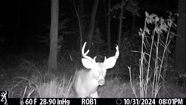 12409 Bellevue Road, Battle Creek, MI 49014