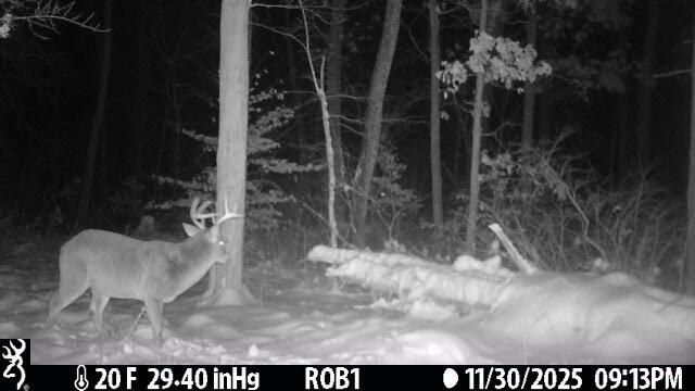 12409 Bellevue Road, Battle Creek, MI 49014