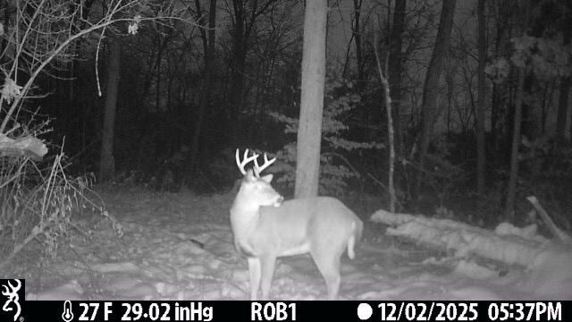 12409 Bellevue Road, Battle Creek, MI 49014