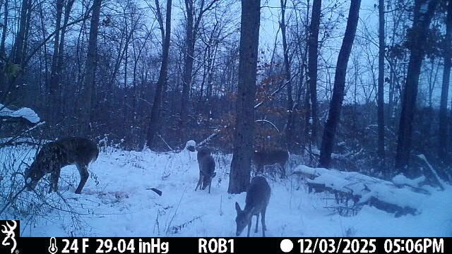 12409 Bellevue Road, Battle Creek, MI 49014