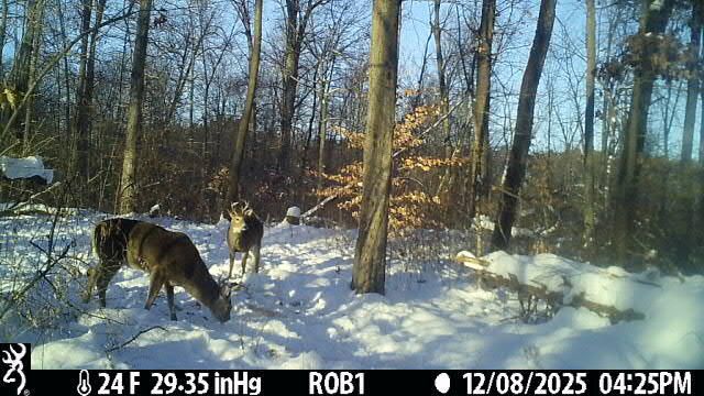 12409 Bellevue Road, Battle Creek, MI 49014