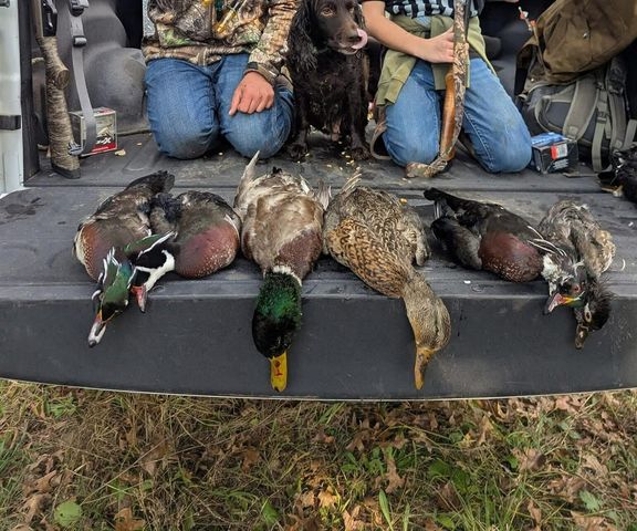 12409 Bellevue Road, Battle Creek, MI 49014