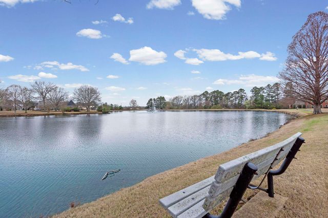 1186 LAKE POINT DR E, Collierville, TN 38017