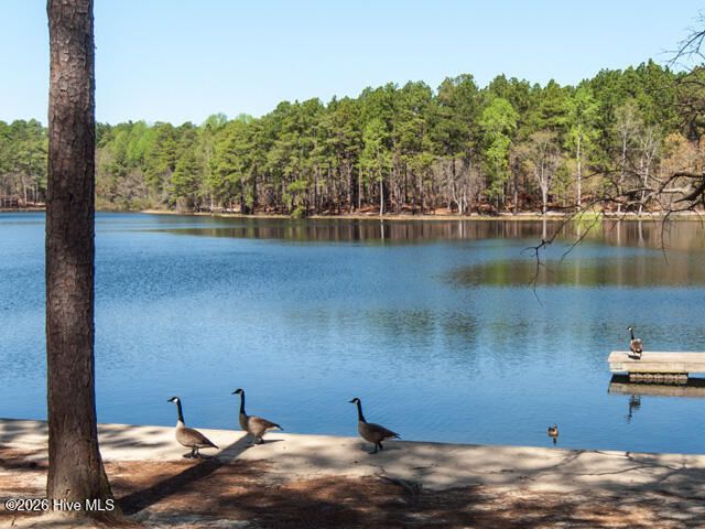 325 Lupin Place, Southern Pines, NC 28387