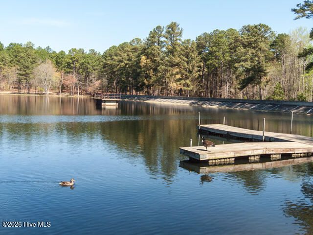 325 Lupin Place, Southern Pines, NC 28387