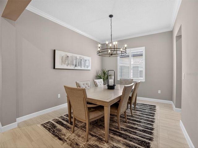 12207 VIOLET JASPER DRIVE, Parrish, FL 34219