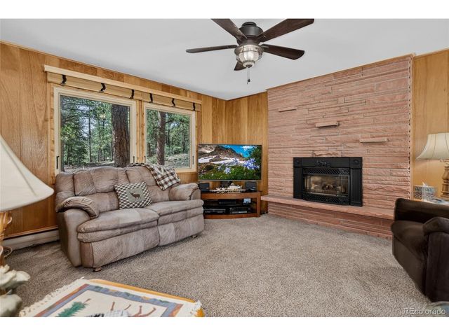 13019 S Parker Ave, Pine, CO 80470