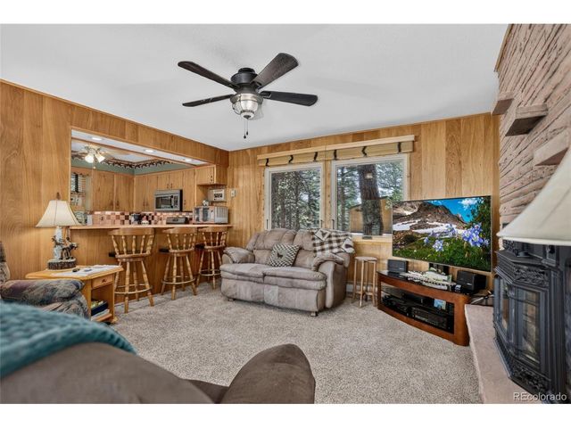13019 S Parker Ave, Pine, CO 80470