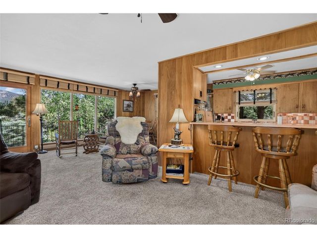 13019 S Parker Ave, Pine, CO 80470