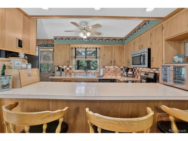 13019 S Parker Ave, Pine, CO 80470