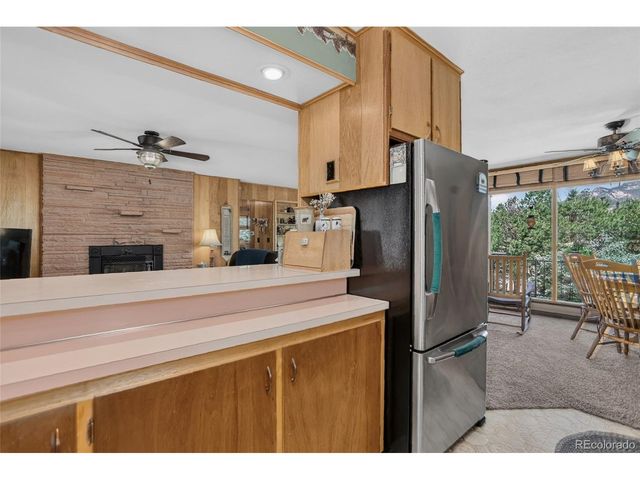 13019 S Parker Ave, Pine, CO 80470