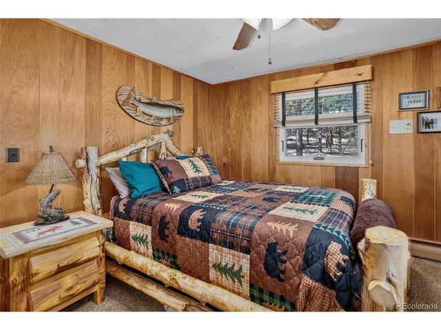 13019 S Parker Ave, Pine, CO 80470