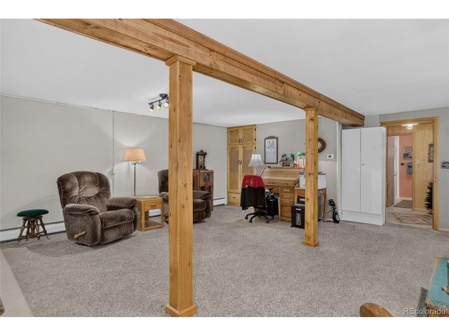 13019 S Parker Ave, Pine, CO 80470