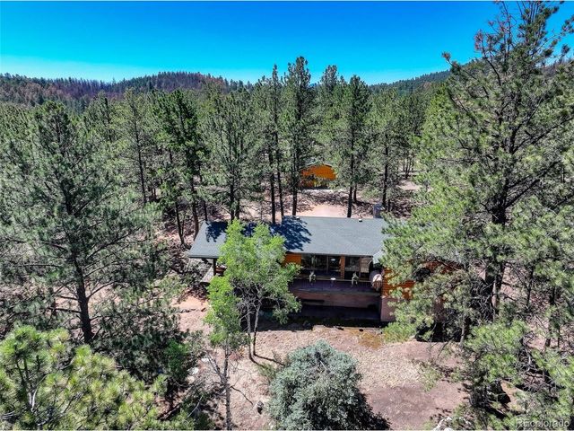 13019 S Parker Ave, Pine, CO 80470