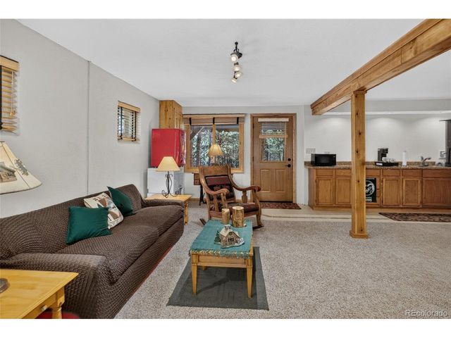 13019 S Parker Ave, Pine, CO 80470