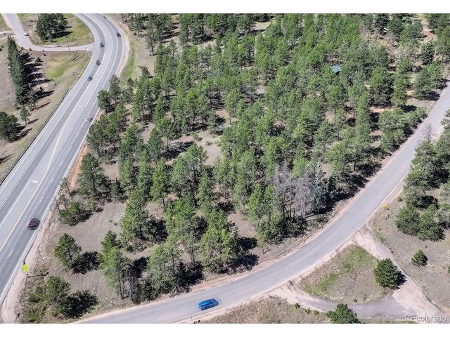 13019 S Parker Ave, Pine, CO 80470