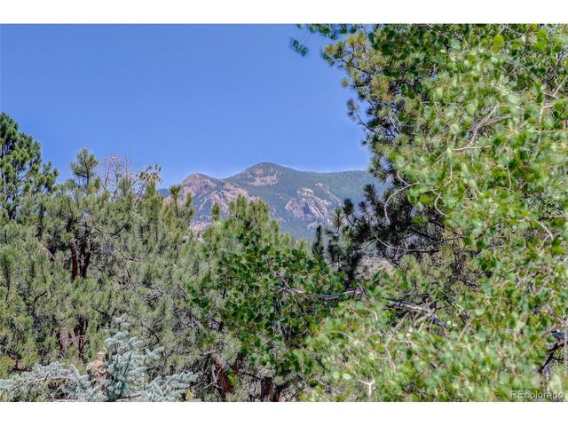 13019 S Parker Ave, Pine, CO 80470