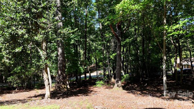 1137 Mountain Laurel Drive, Columbus, NC 28722