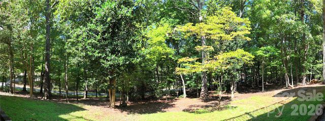1137 Mountain Laurel Drive, Columbus, NC 28722