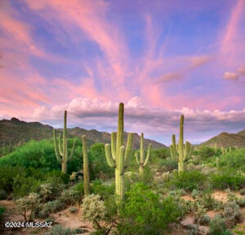 12725 N Sonoran Preserve Boulevard Lot 10, Marana, AZ 85658