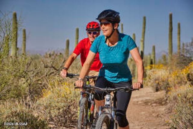 12725 N Sonoran Preserve Boulevard Lot 10, Marana, AZ 85658