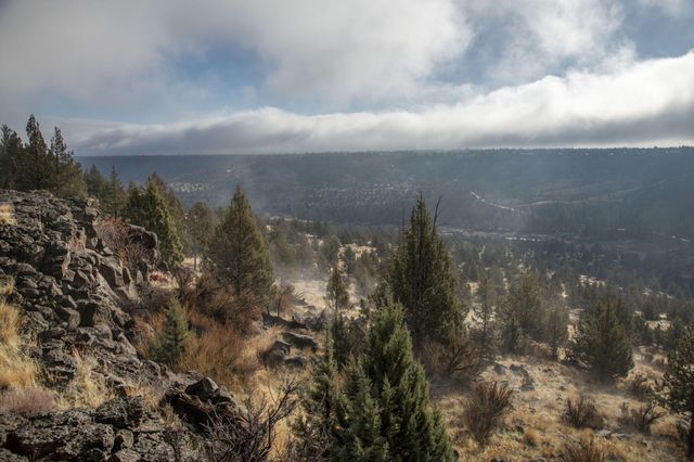 11603 SW Yucca Flats Lane, Culver, OR 97734