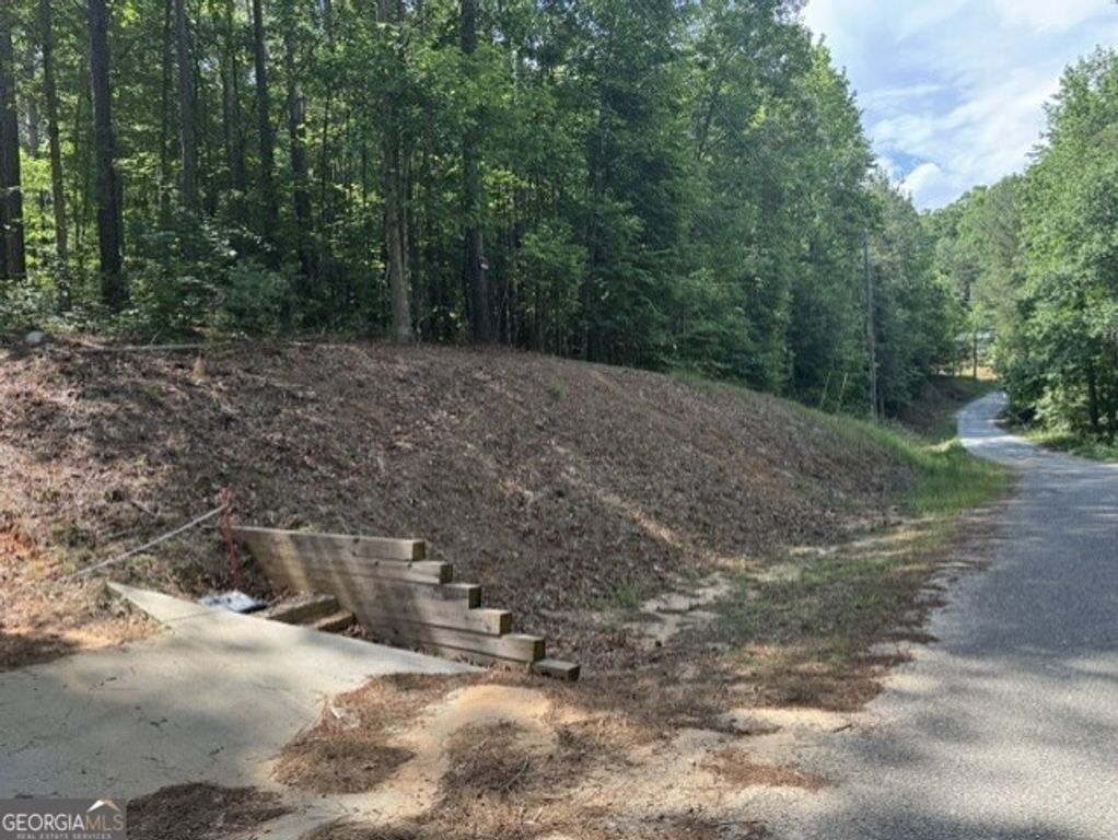 108 Sawtooth Place, Carnesville, GA 30521 — photo 4