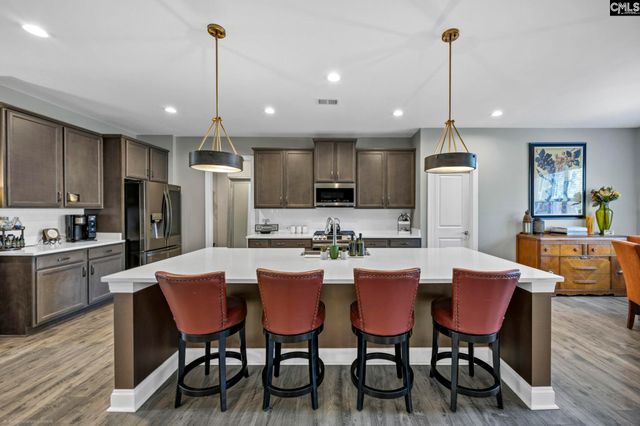 125 Chapin Creek Court, Chapin, SC 29036