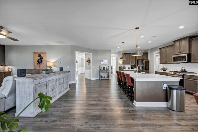 125 Chapin Creek Court, Chapin, SC 29036