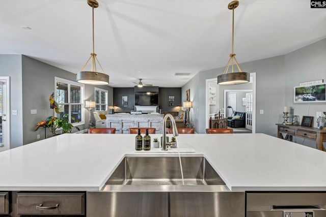 125 Chapin Creek Court, Chapin, SC 29036