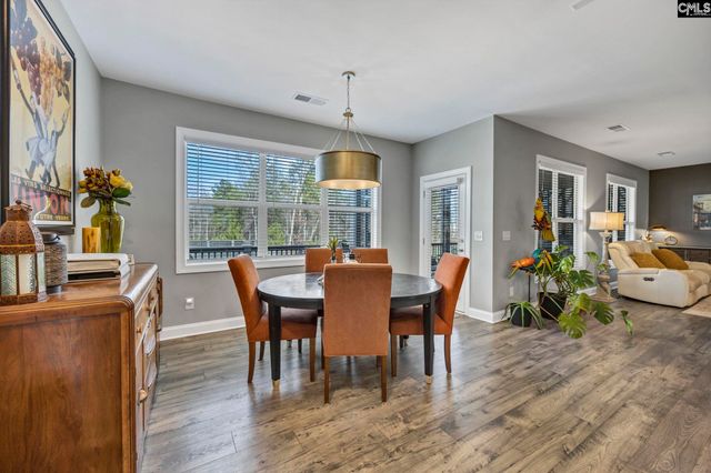 125 Chapin Creek Court, Chapin, SC 29036