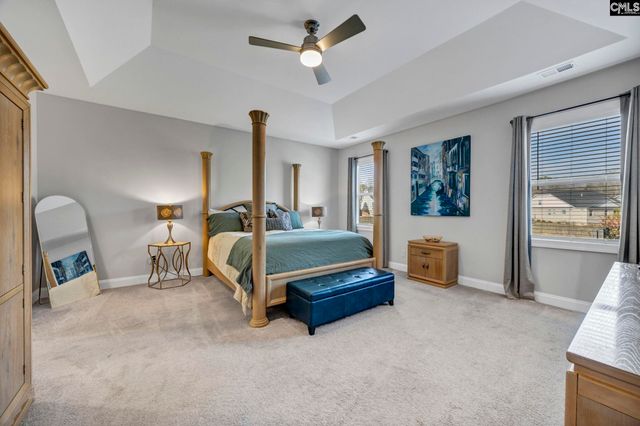 125 Chapin Creek Court, Chapin, SC 29036