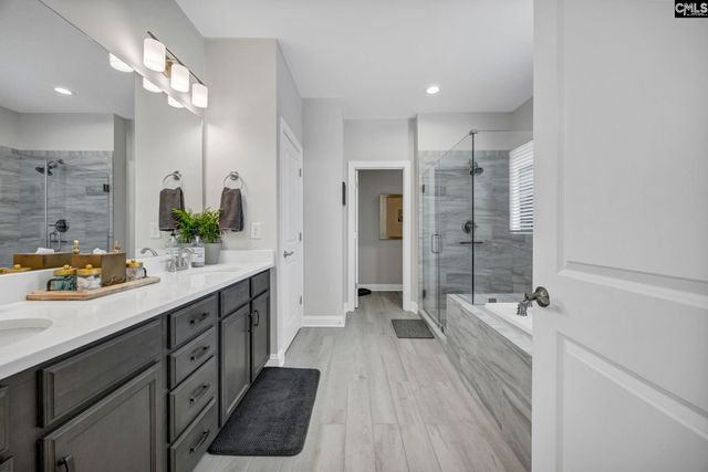 125 Chapin Creek Court, Chapin, SC 29036