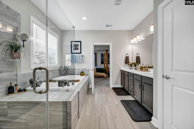 125 Chapin Creek Court, Chapin, SC 29036