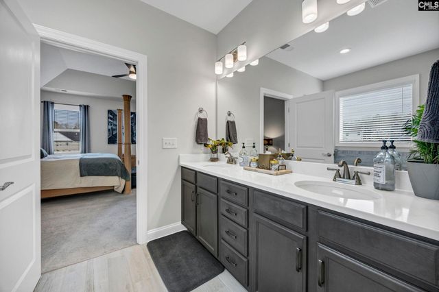 125 Chapin Creek Court, Chapin, SC 29036