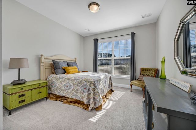 125 Chapin Creek Court, Chapin, SC 29036