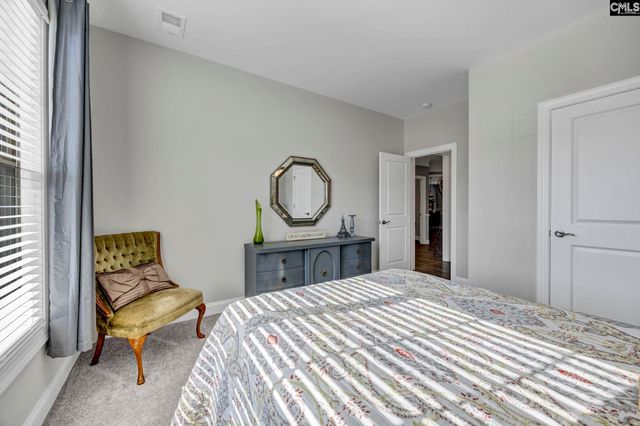 125 Chapin Creek Court, Chapin, SC 29036