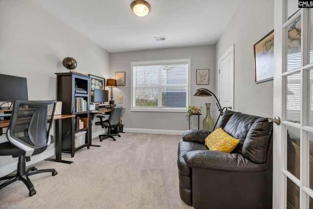 125 Chapin Creek Court, Chapin, SC 29036