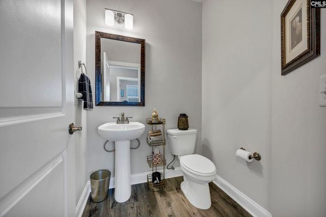 125 Chapin Creek Court, Chapin, SC 29036