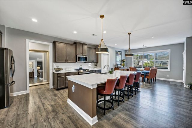 125 Chapin Creek Court, Chapin, SC 29036