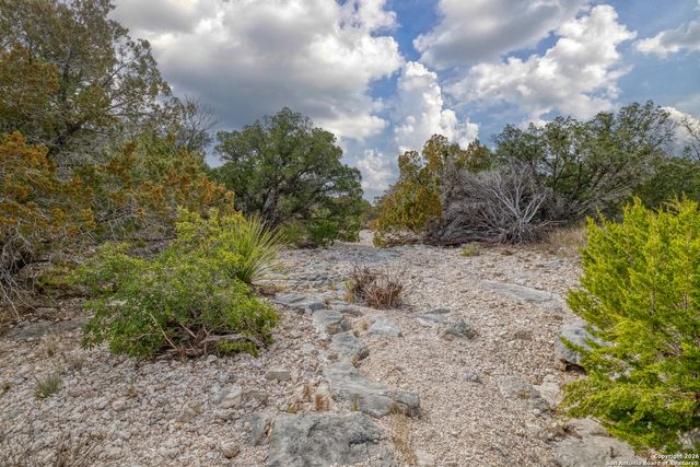 25 SD 65065 Dusty Rose Ranch, Rocksprings, TX 78880