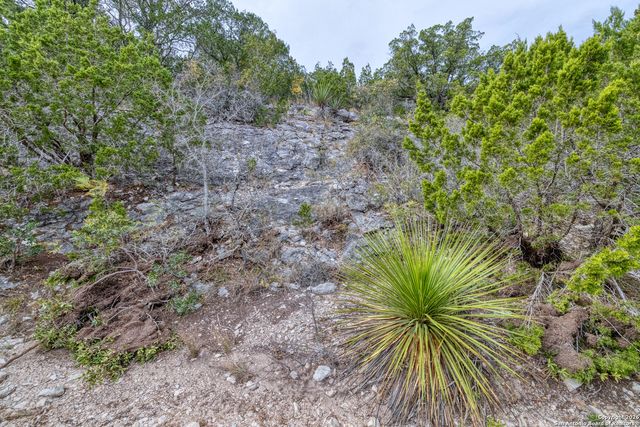 25 SD 65065 Dusty Rose Ranch, Rocksprings, TX 78880